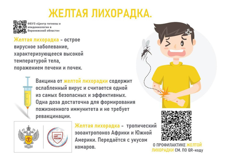 Профилактика жёлтой лихорадки. Профилактика жёлтой лихорадки.
