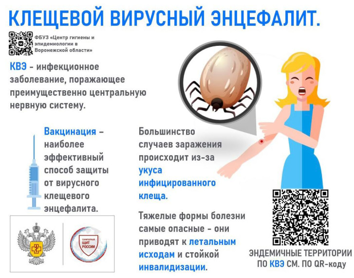 Профилактика клещевого энцефалита. Профилактика клещевого энцефалита.