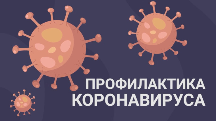 Профилактика коронавирусной инфекции. Профилактика коронавирусной инфекции.