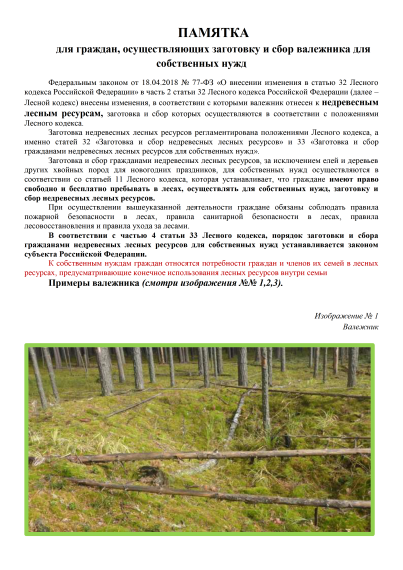 О сборе валежника. О сборе валежника.