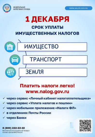 Срок уплаты имущественных налогов. Срок уплаты имущественных налогов.